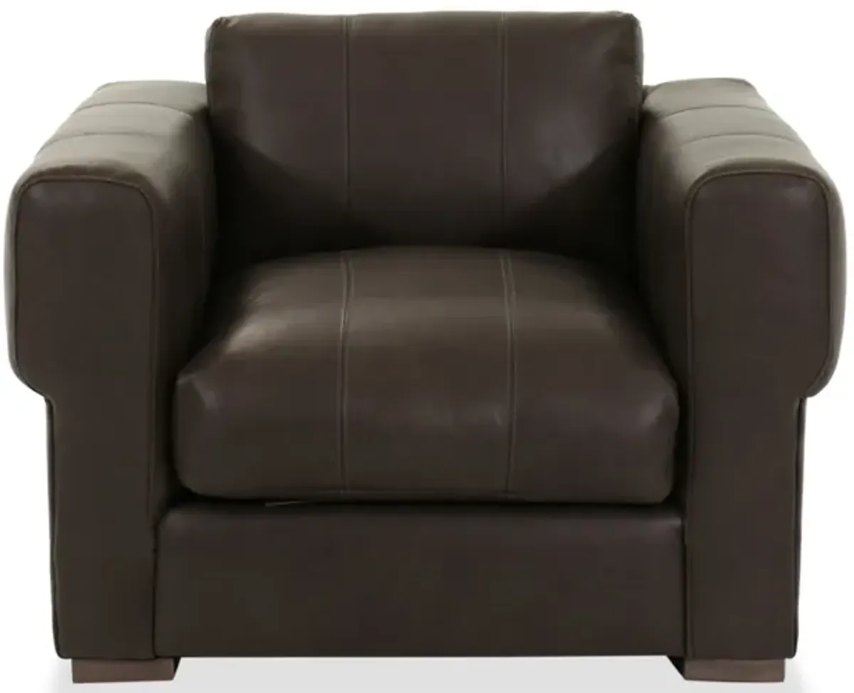 Plush Apollo Chair