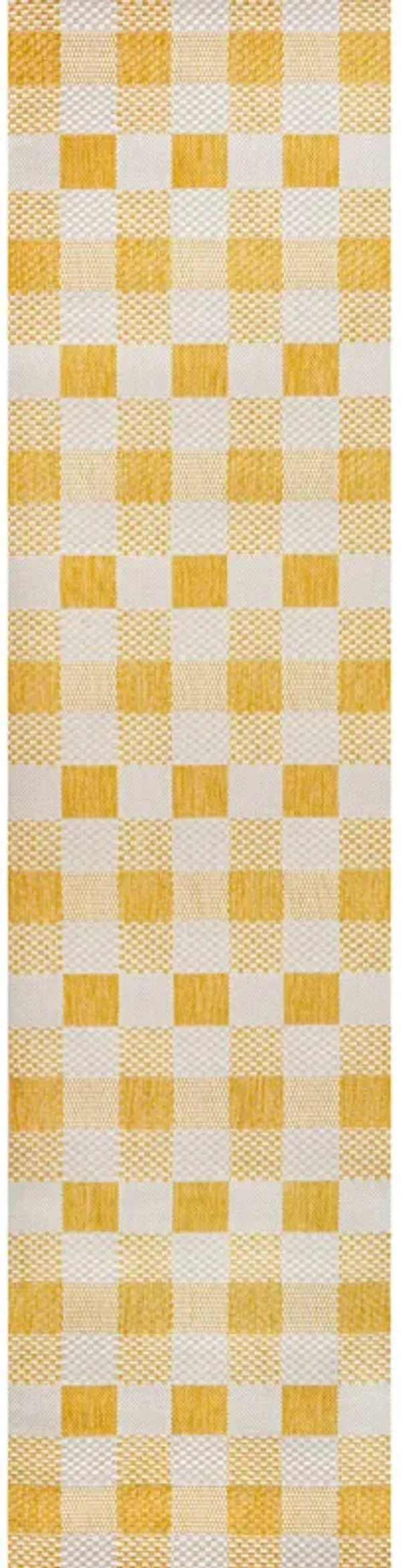 Darcy Traditional Geometric Bold Gingham Indoor/Outdoor Area Rug