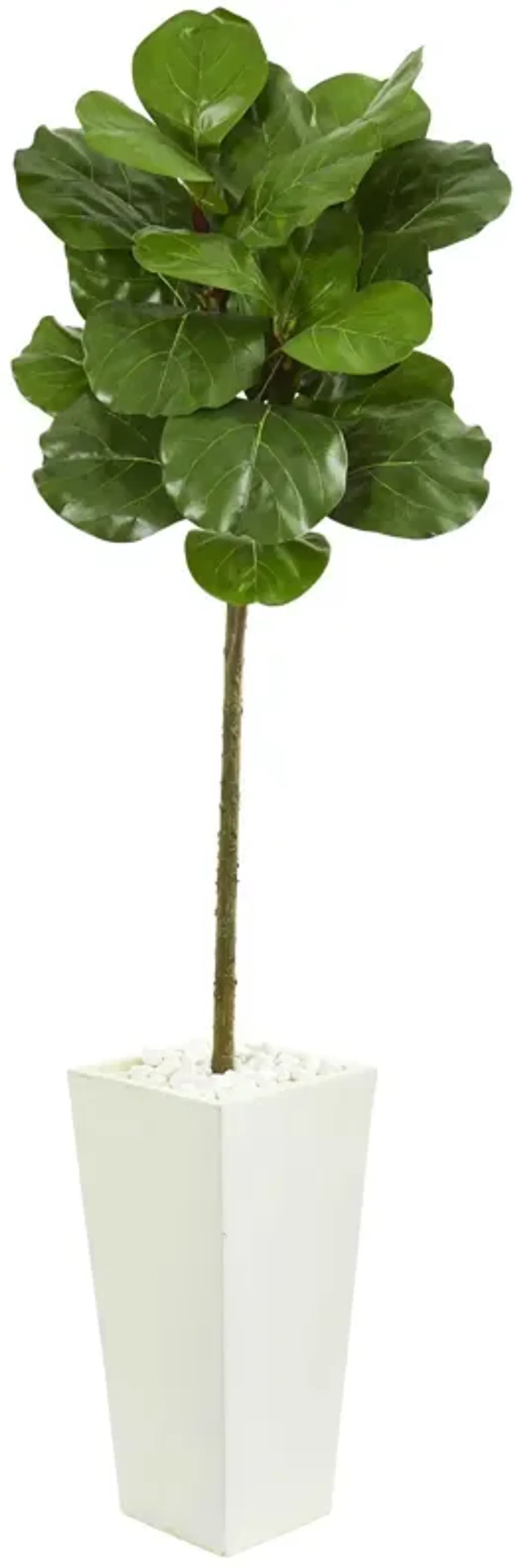 Nearly Natural 5.5-in Fiddle Leaf Artificial Tree in White Tower Planter