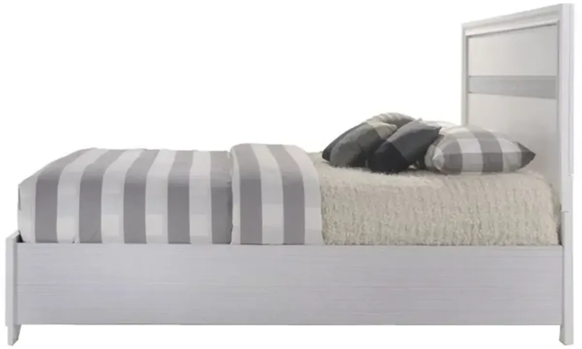 Classy Queen Size Bed With Storage, White-Benzara