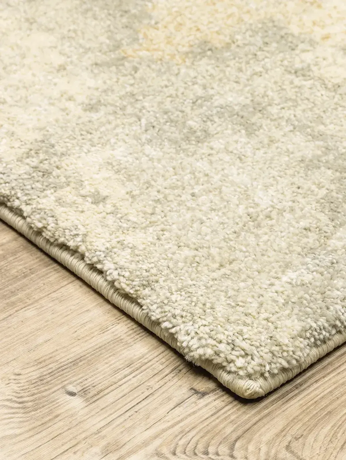 Astor 2'3" x 7'6" Beige Rug