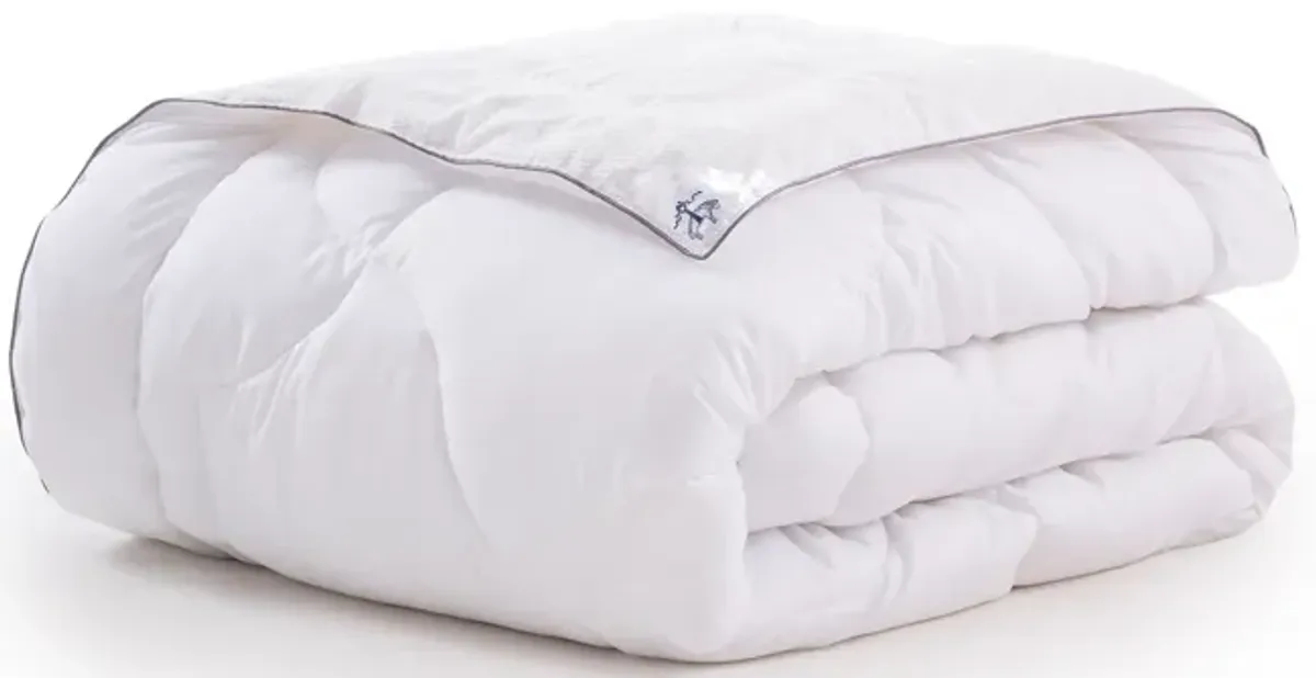 Brooks Brothers Wellsoft Comforter