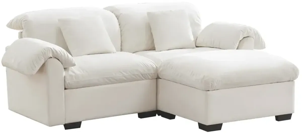 Merax Loveseat Sofa with Storage Reversible Ottoman