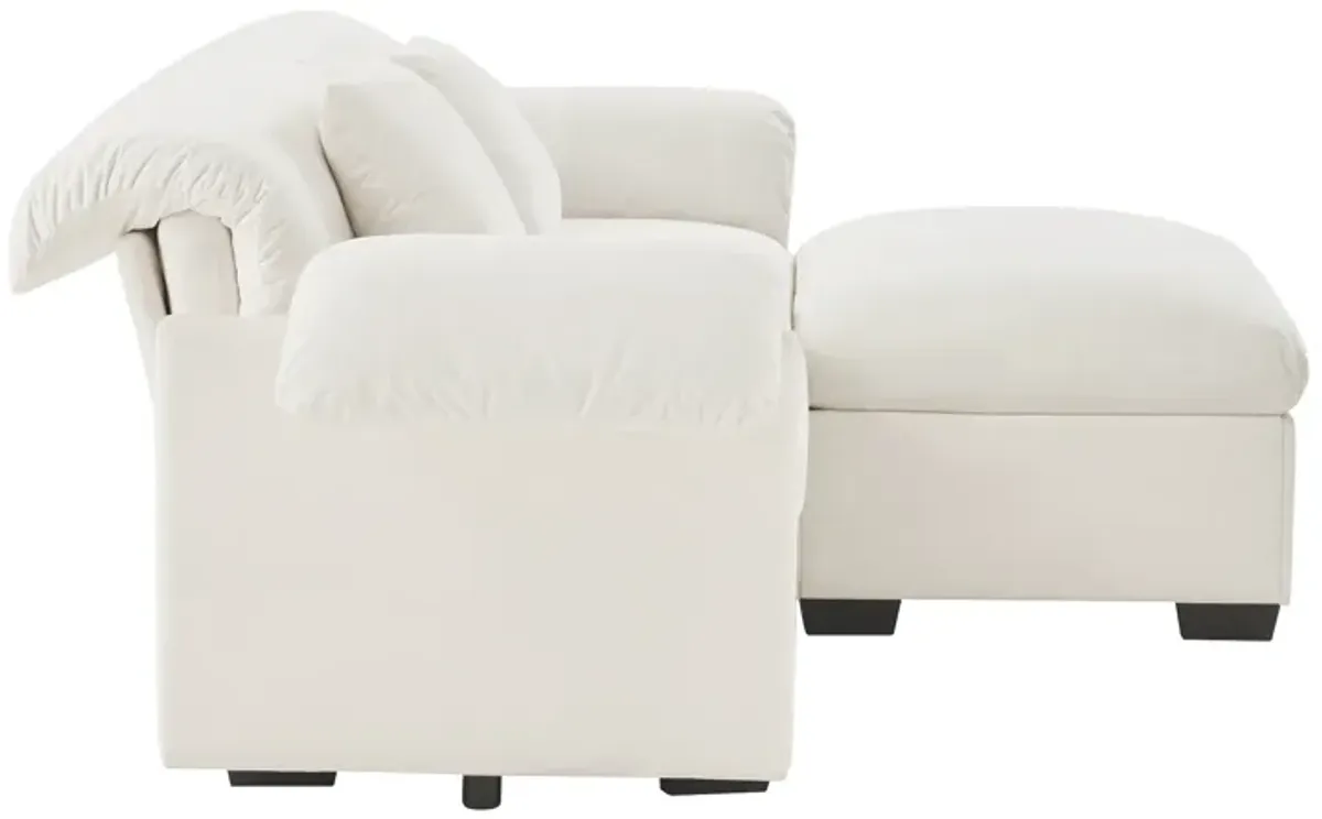 Merax Loveseat Sofa with Storage Reversible Ottoman