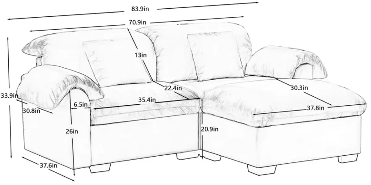 Merax Loveseat Sofa with Storage Reversible Ottoman