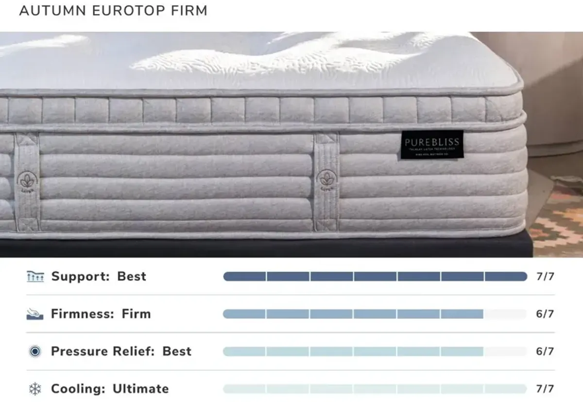 Lady Americana|Pure Bliss Autumn Firm|Pure Bliss Autumn Firm Queen|Queen Mattress