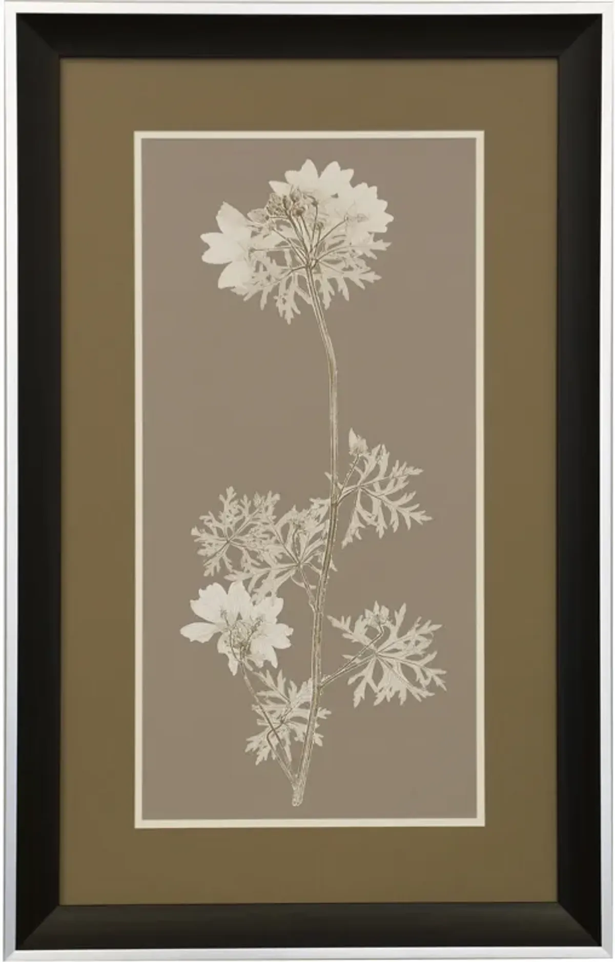Taupe Natural Study II