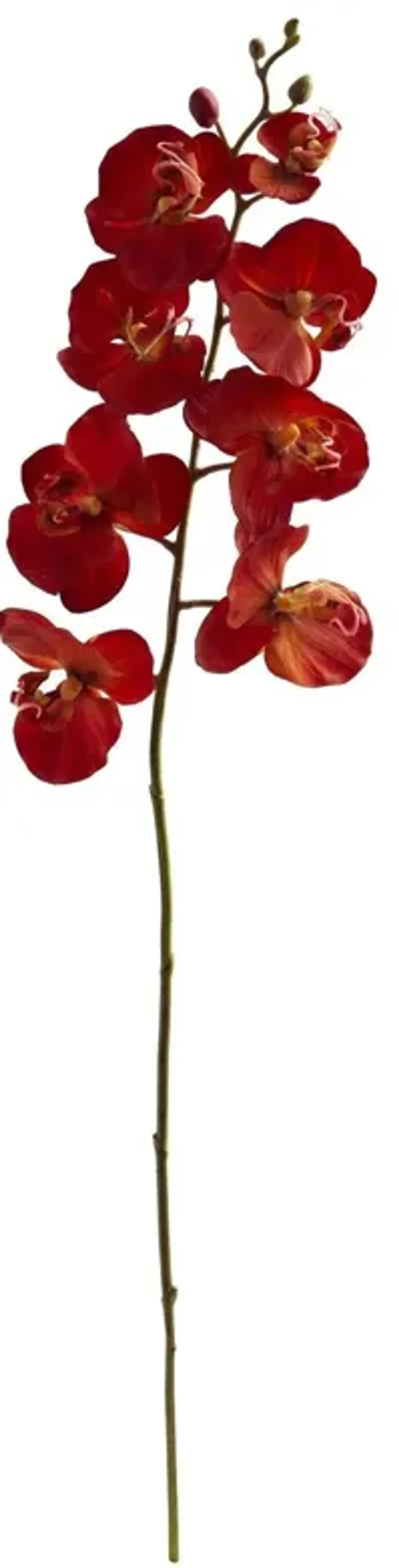 Nearly Natural 30-in Autumn Phalaenopsis Artificial Flower (Set of 6)