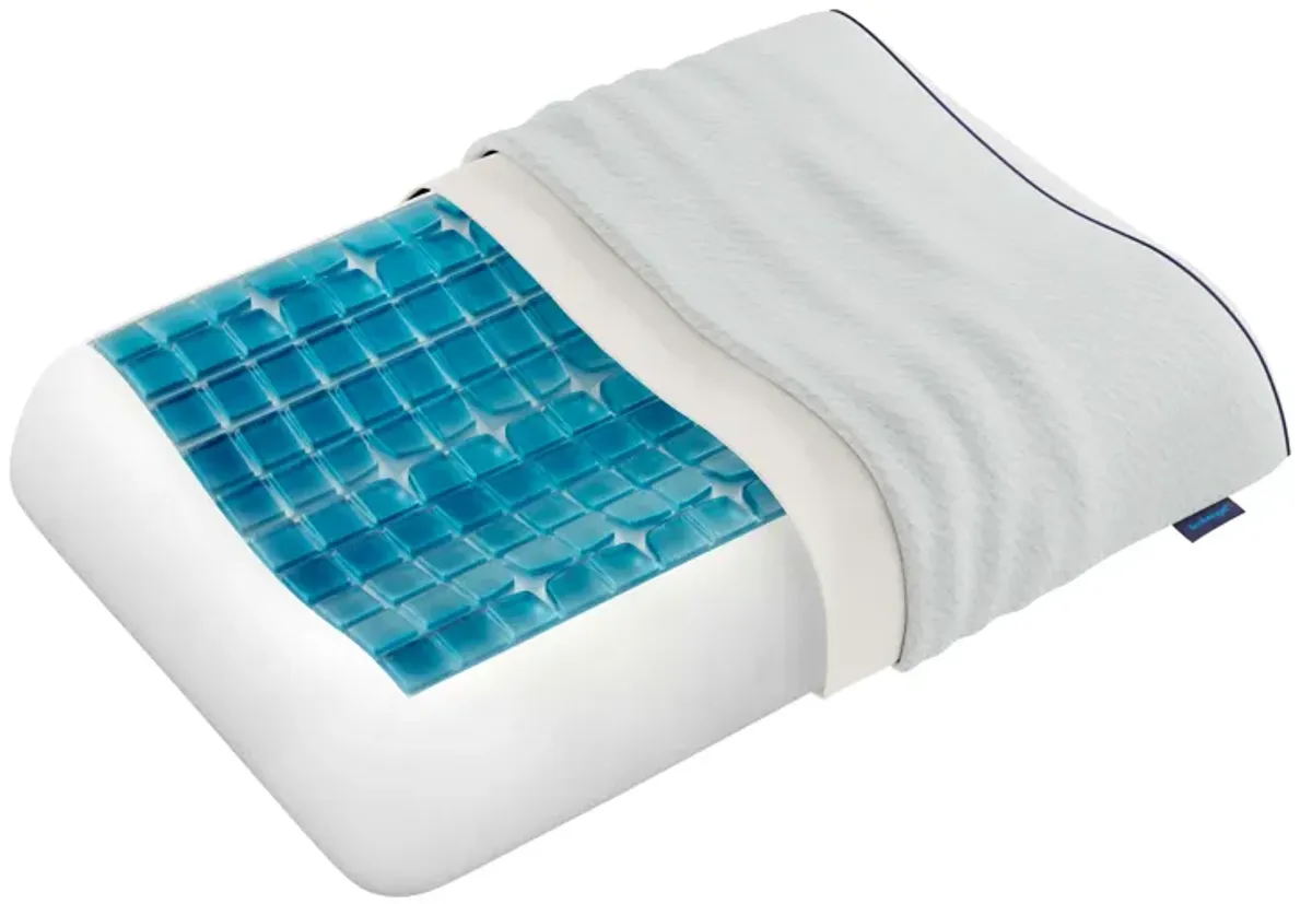 Anatomic Standard Pillow