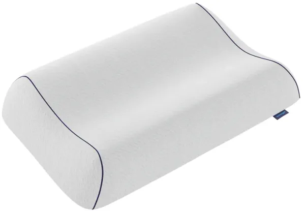 Anatomic Standard Pillow
