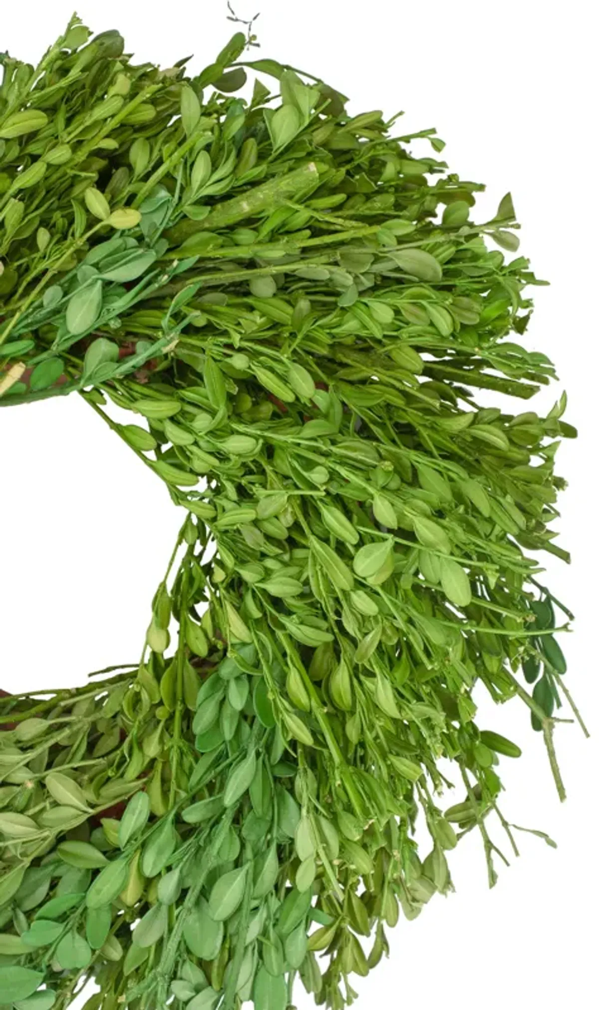 Green Foliage Artificial Spring Wreath  11-Inch