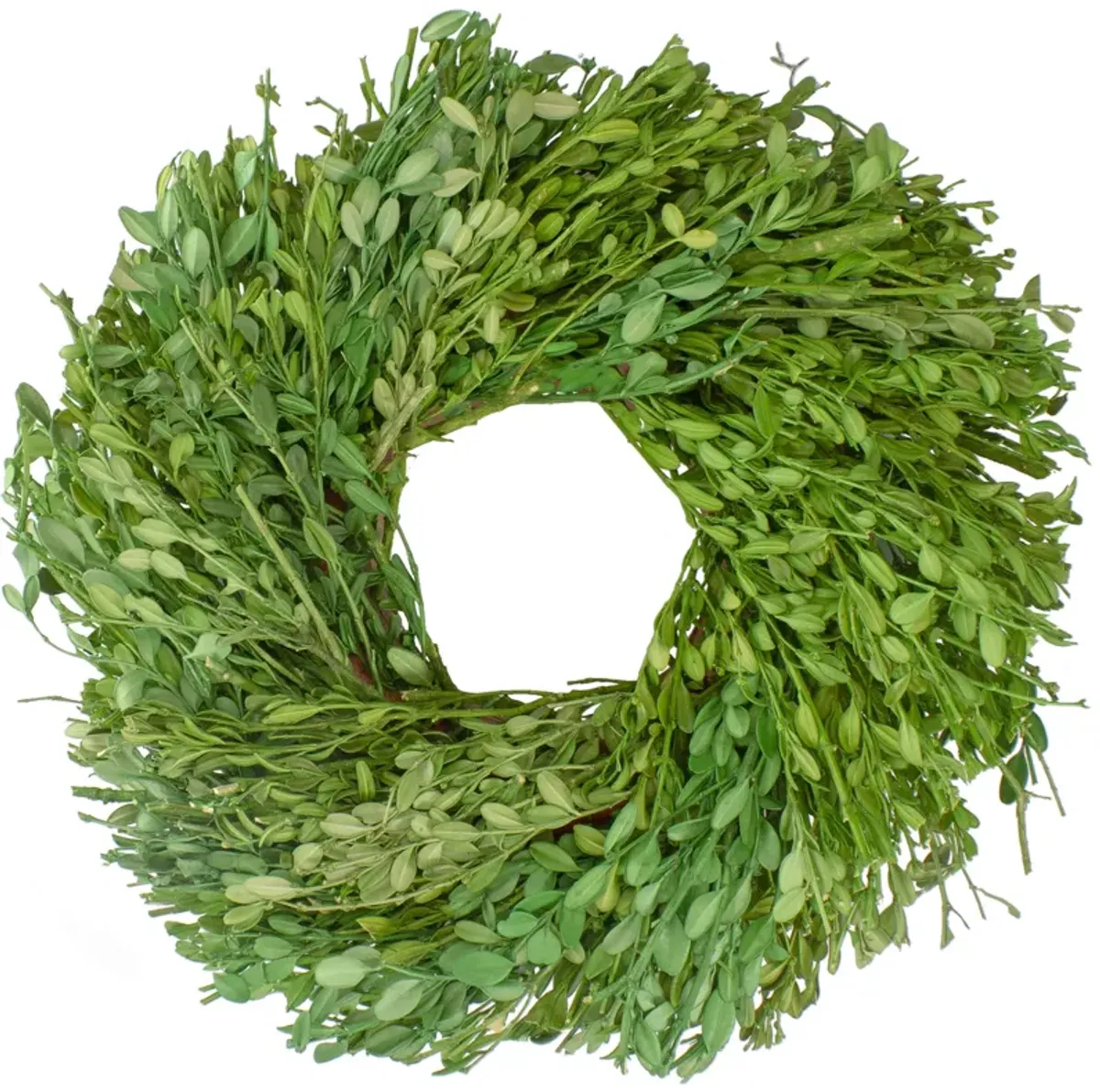 Green Foliage Artificial Spring Wreath  11-Inch