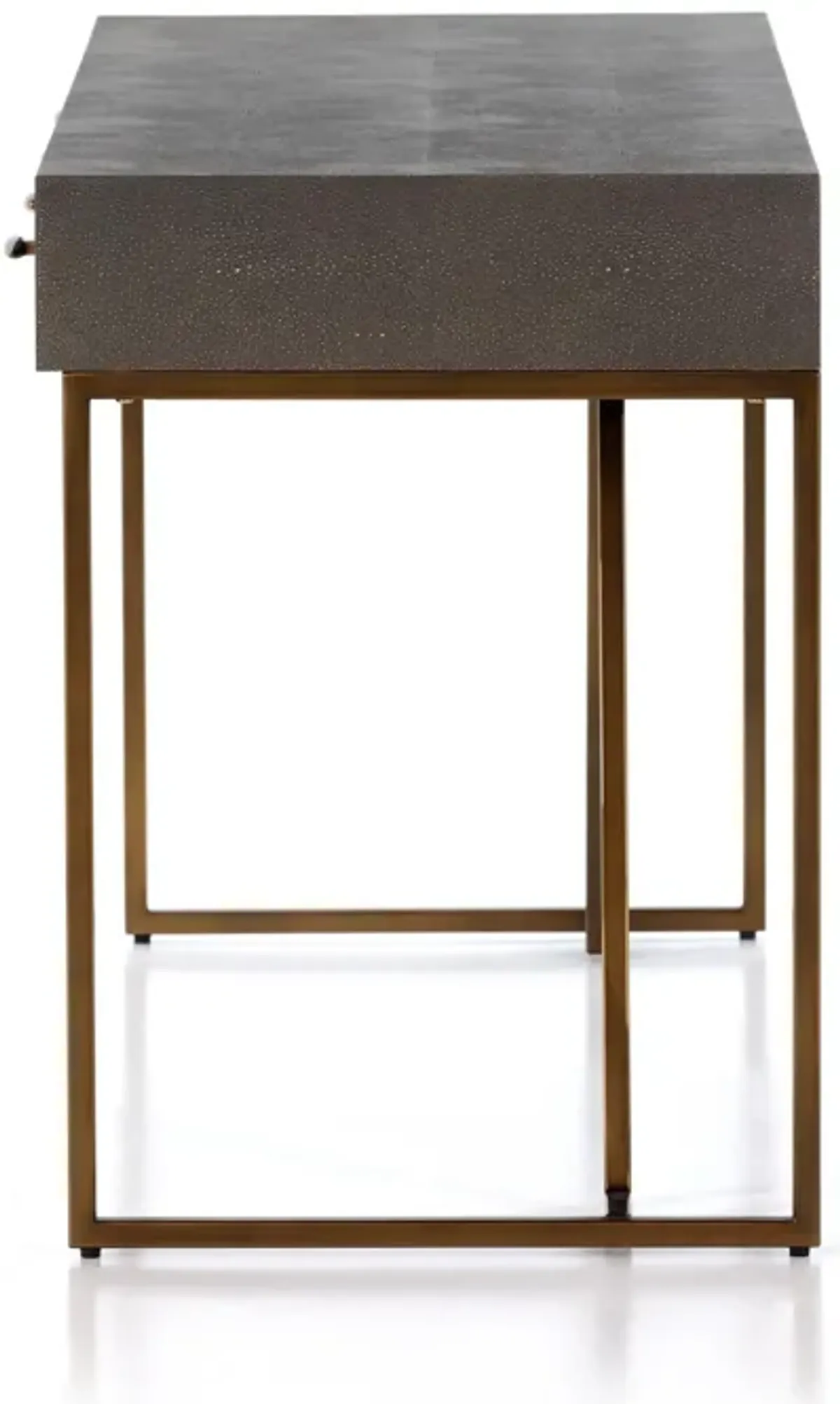 Shagreen Desk