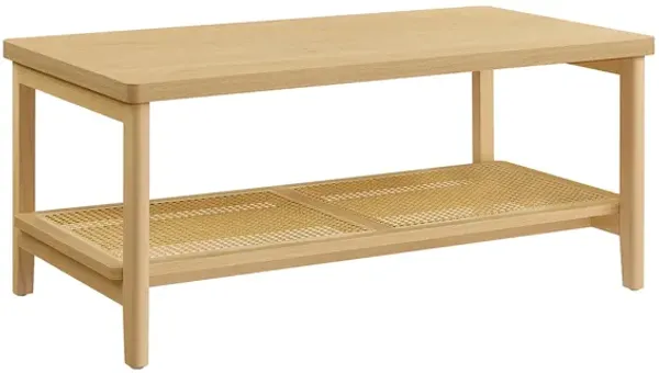 2-Tier Coffee Table for Stylish and Functional Living Room Design