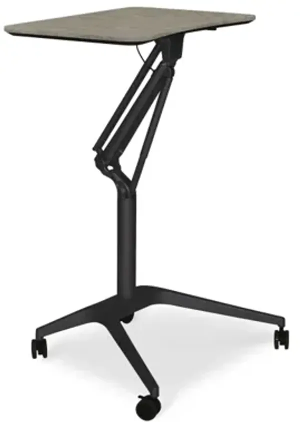 Adjustable Standing Desk for Home/Office