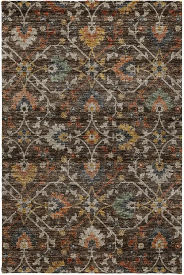 Silk Road SR4 Chocolate 30" x 46" Rug