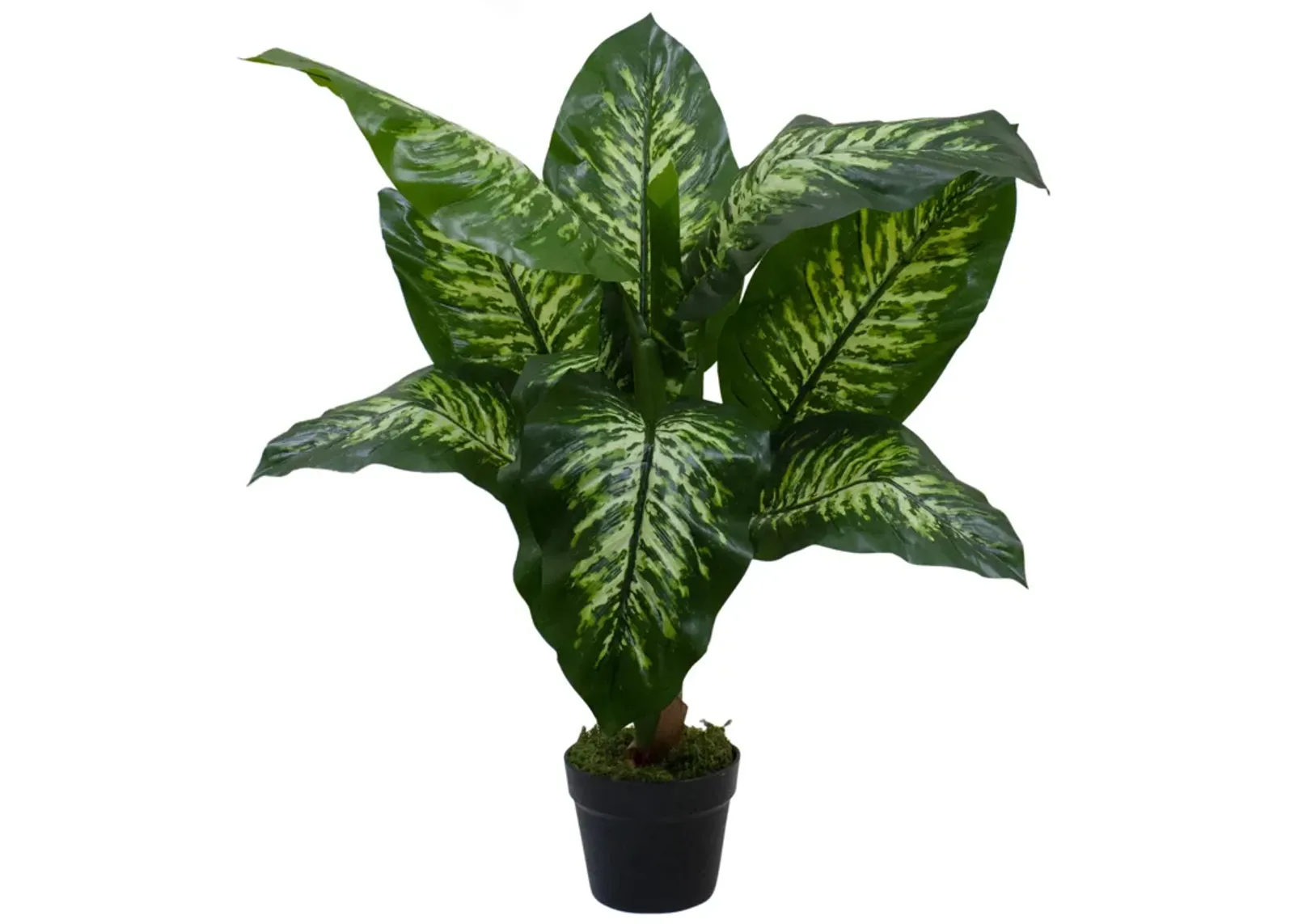 36" Artificial Green and Ivory Variegated Leaf Dieffenbachia Potted Plant