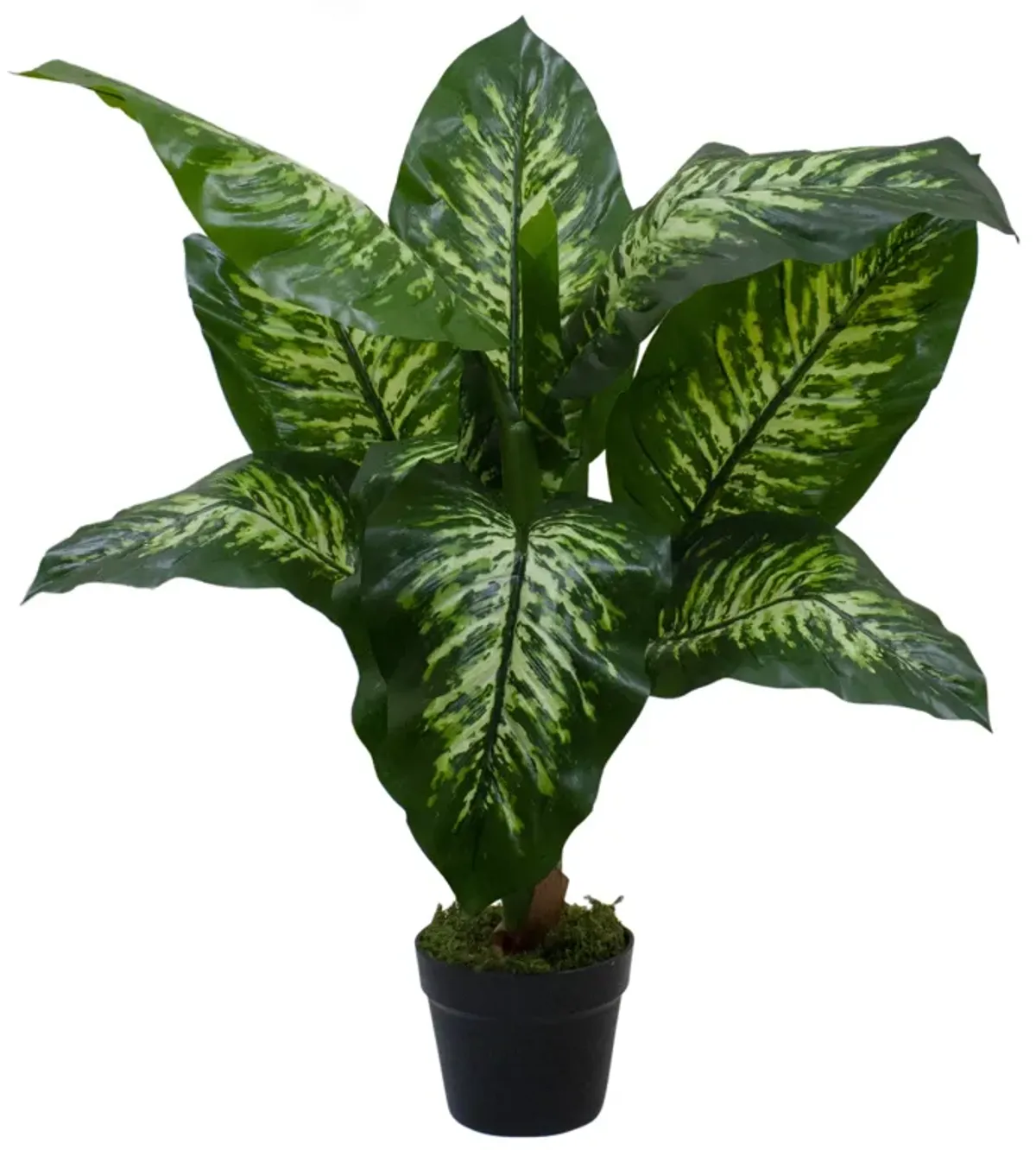 36" Artificial Green and Ivory Variegated Leaf Dieffenbachia Potted Plant