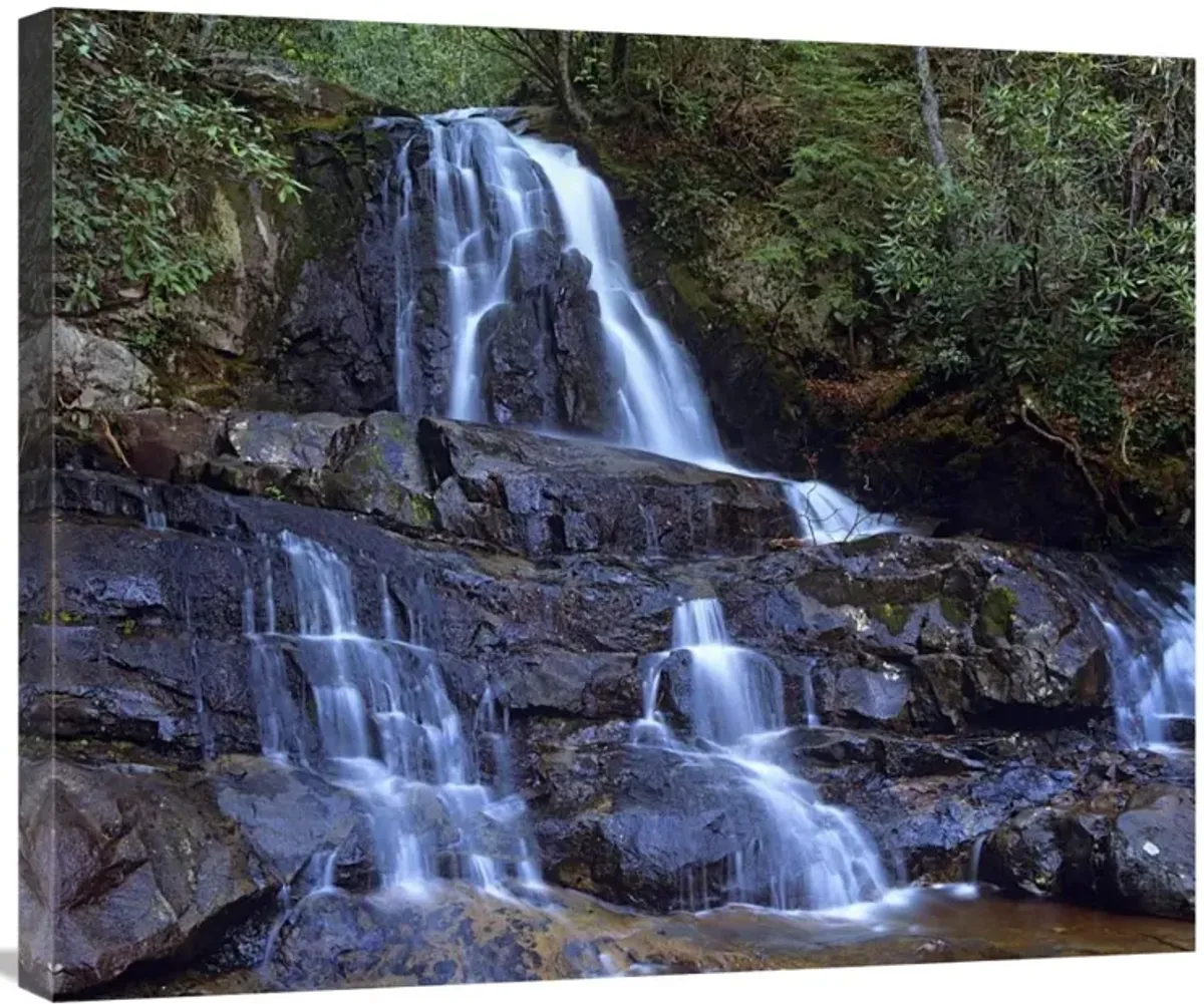 Waterfall, Laurel Creek, Great Smoky Mountains National Park, Tennessee-Canvas Art-30x24.9