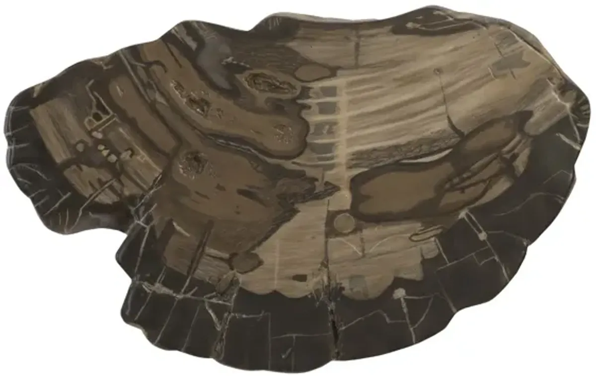 Cast Petrified Wood Wall Tile
