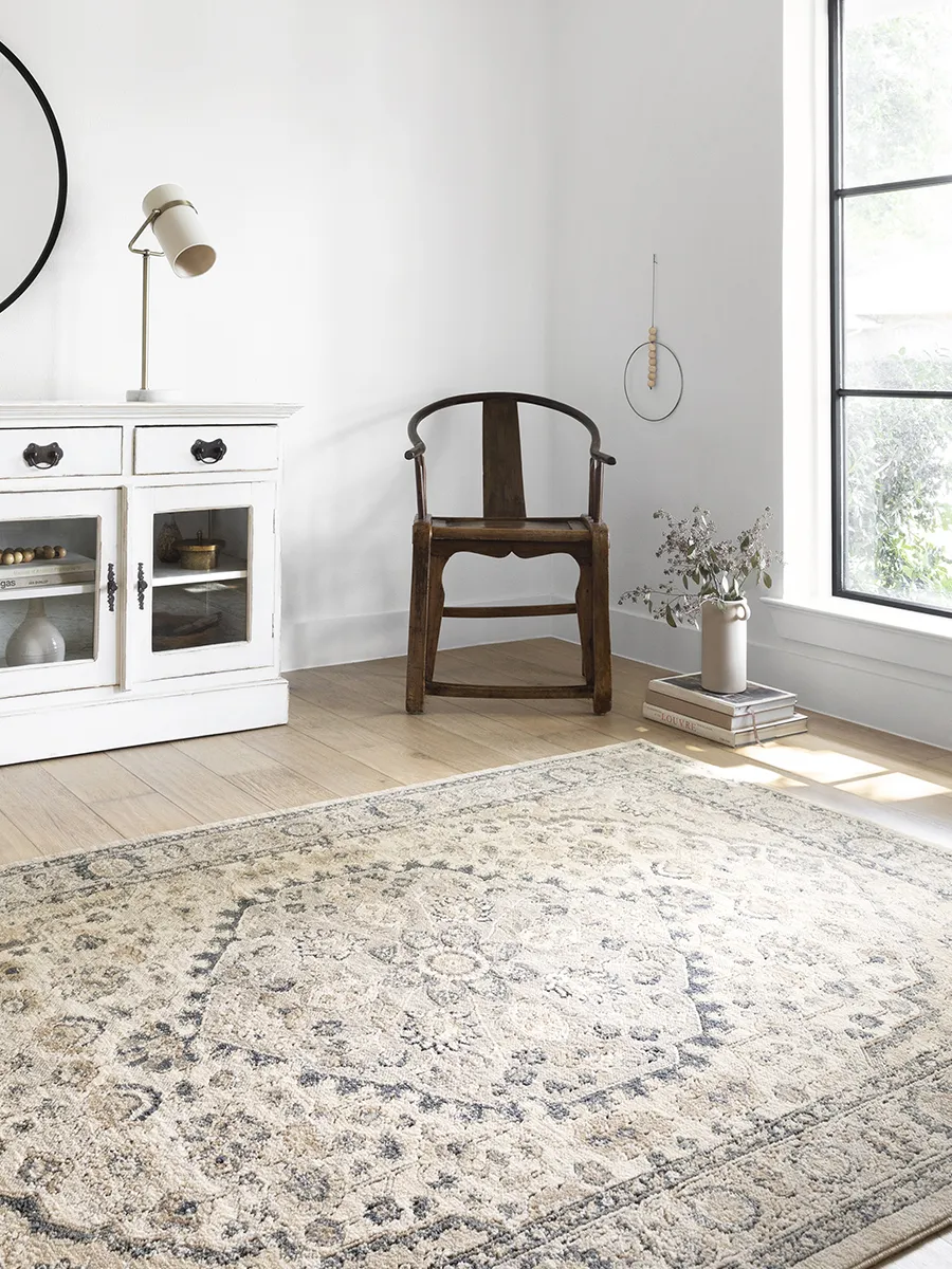 Teagan TEA01 Natural/Light Grey 3'4" x 5'7" Rug