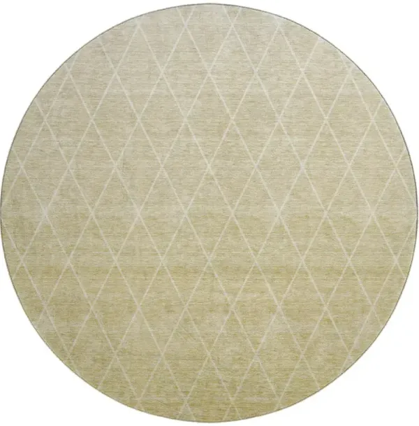 Lazio LZ2 Wheat 8' Rug