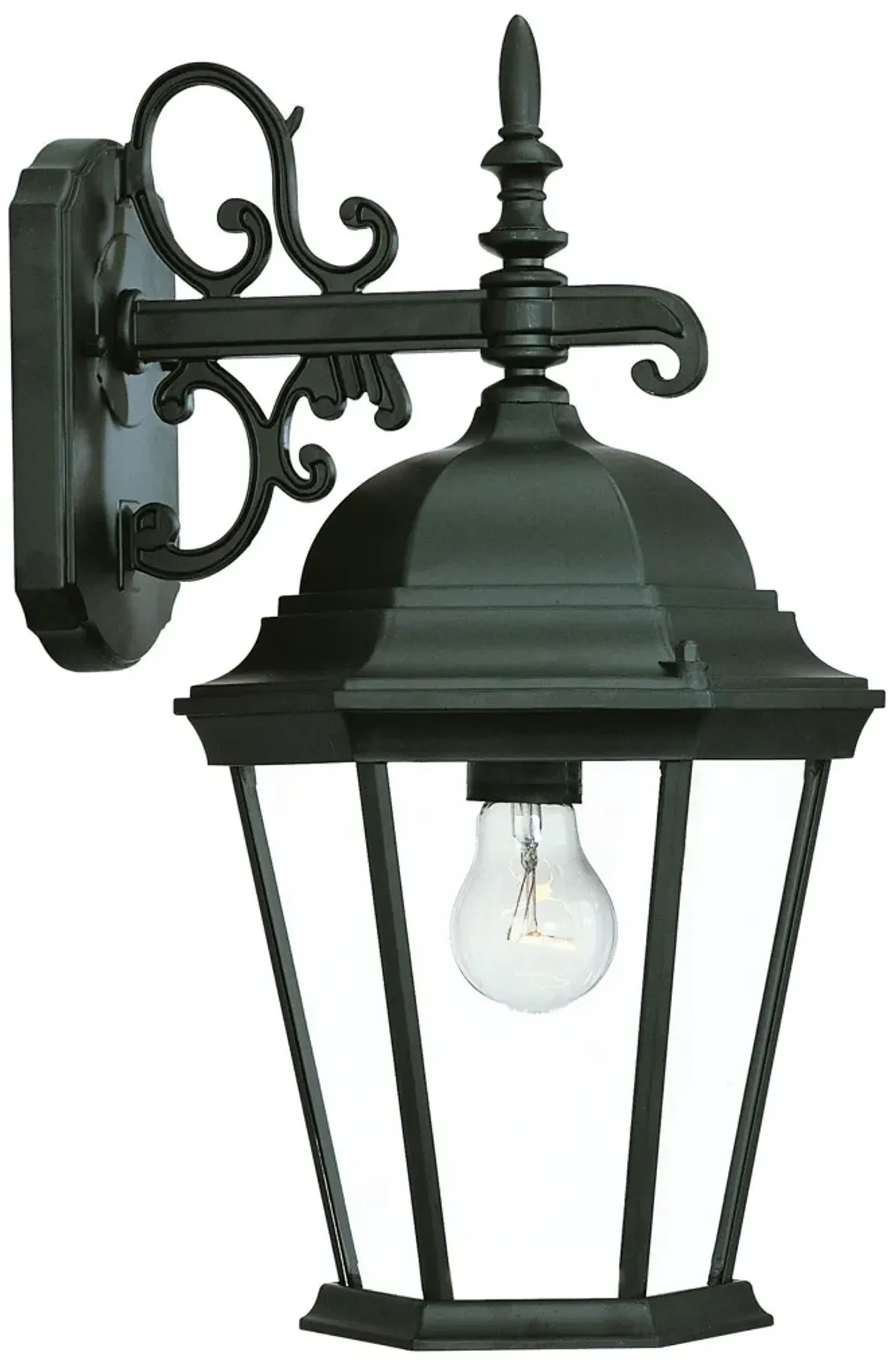 Hivvago Matte Black Domed Glass Hanging Lantern Wall Light