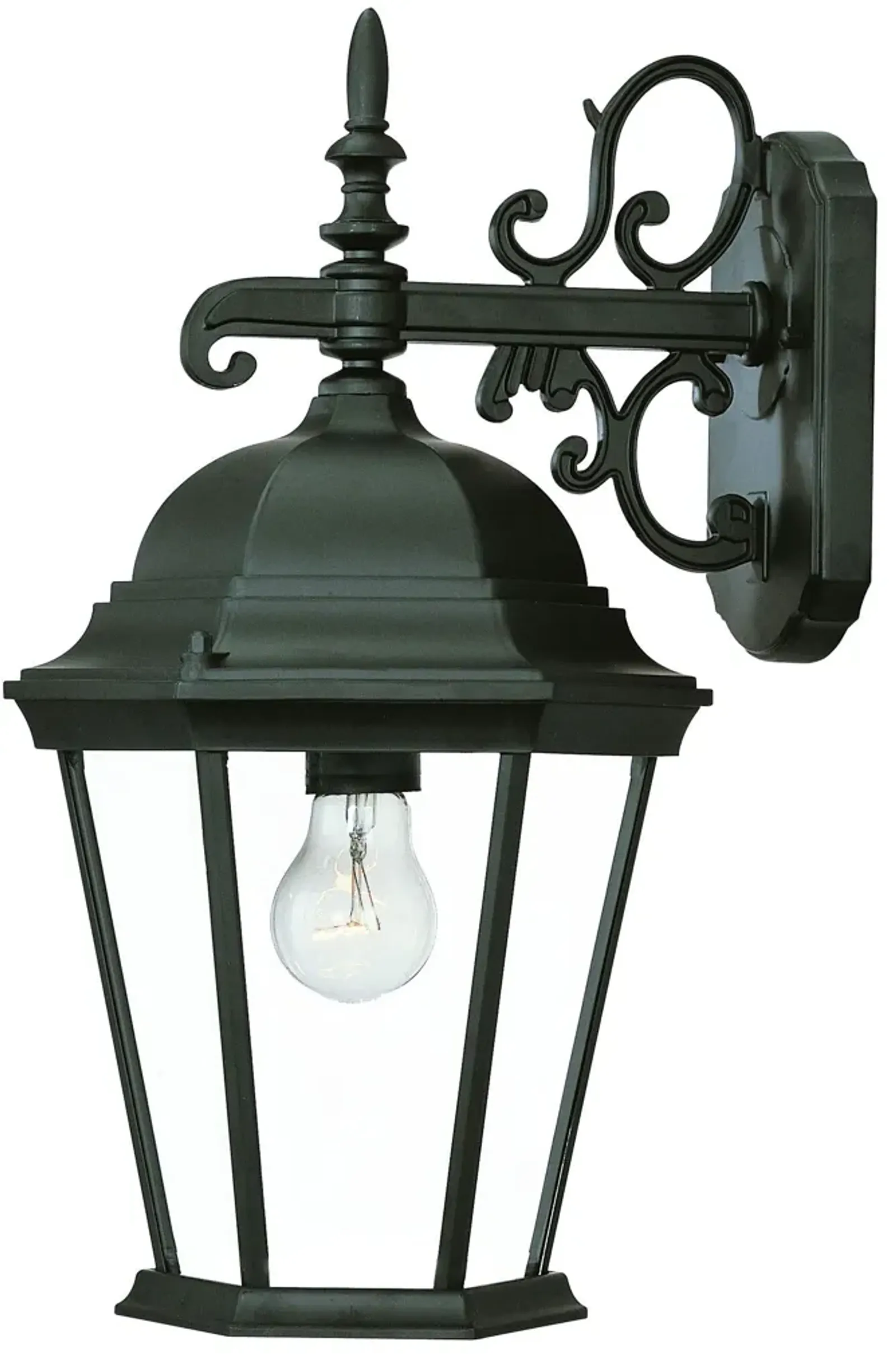 Hivvago Matte Black Domed Glass Hanging Lantern Wall Light