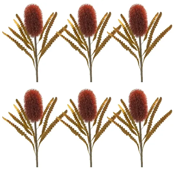 Burnt Banksia Floral Stem for Rustic Home Décor and Natural Floral Arrangements (Set of 6)