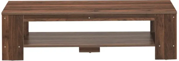 47 Inch 2-Tier Large Rectangular Coffee Table with Open Compartment