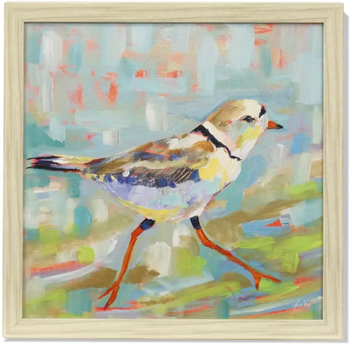 Coastal Plover II Framed Print