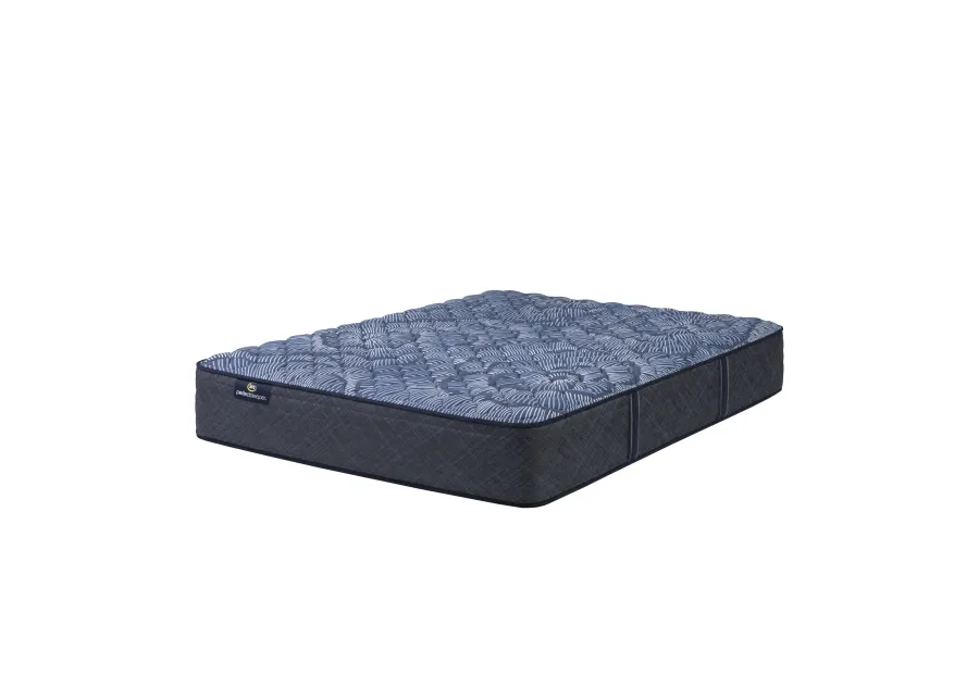 Perfect Sleeper Twin Bridges Firm Queen Mattress