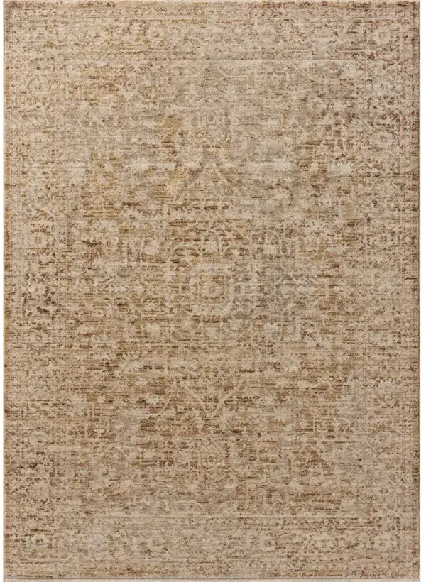 Newman Wheat/Natural 5'3"x7'6" Rug