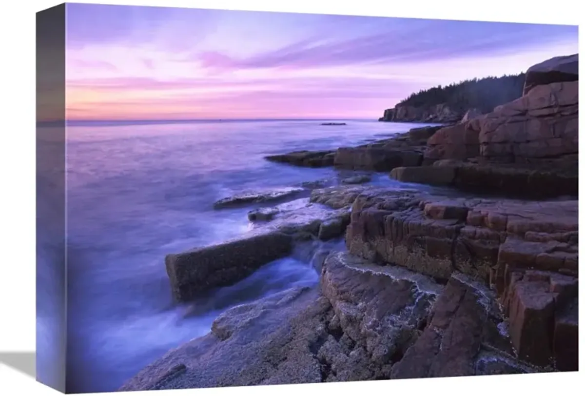 Atlantic coast near Thunder Hole, Acadia National Park, Maine-Canvas Art-16x12