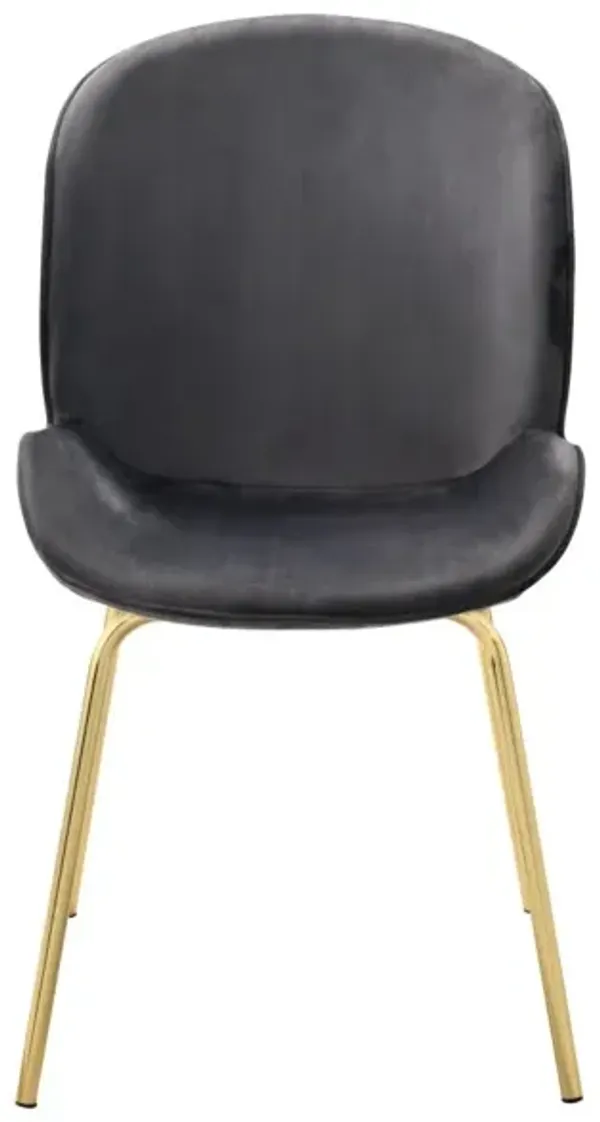 Chuchip Side Chair (Set of 2) In Gray Velvet & Gold