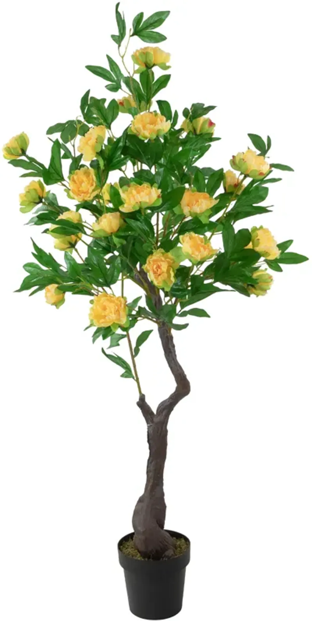 63" Artificial Yellow and Green Peony Flower Potted Tree