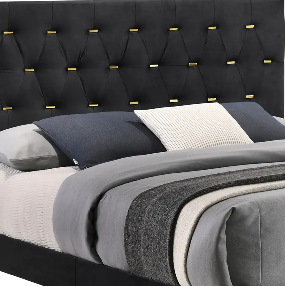 Lif Platform California King Size Bed, Tufted Headboard, Gold, Black Velvet-Benzara