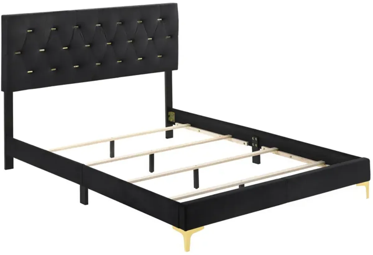 Lif Platform California King Size Bed, Tufted Headboard, Gold, Black Velvet-Benzara