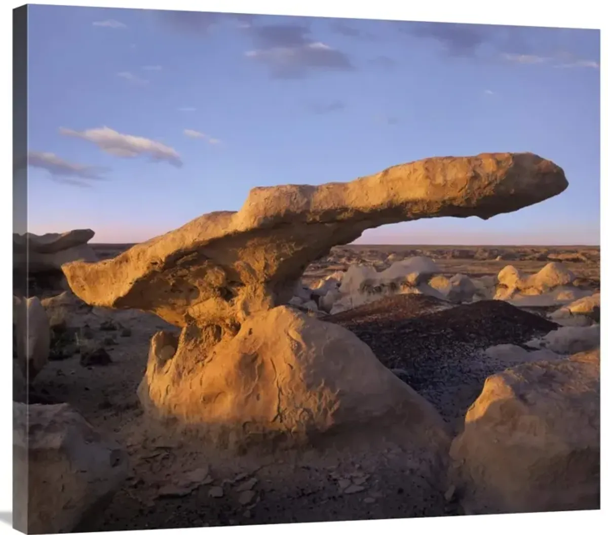 Eroded rock, Bisti Badlands, Bisti Wilderness Area, New Mexico-Canvas Art-36x32.04