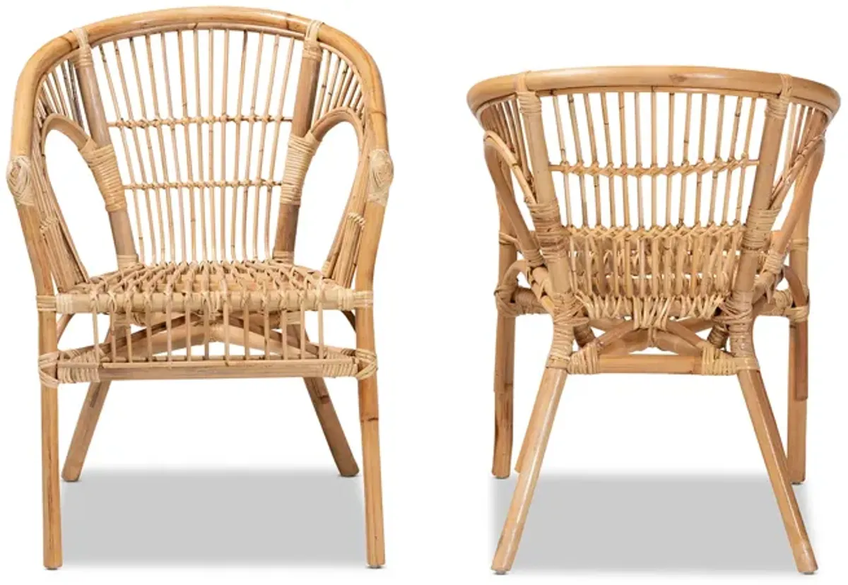 Baxton Studio Alleta Modern Bohemian Natural Brown Rattan 2-Piece Dining Chair Set