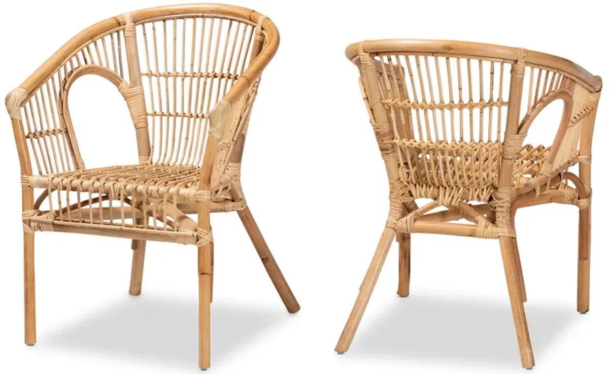 Baxton Studio Alleta Modern Bohemian Natural Brown Rattan 2-Piece Dining Chair Set