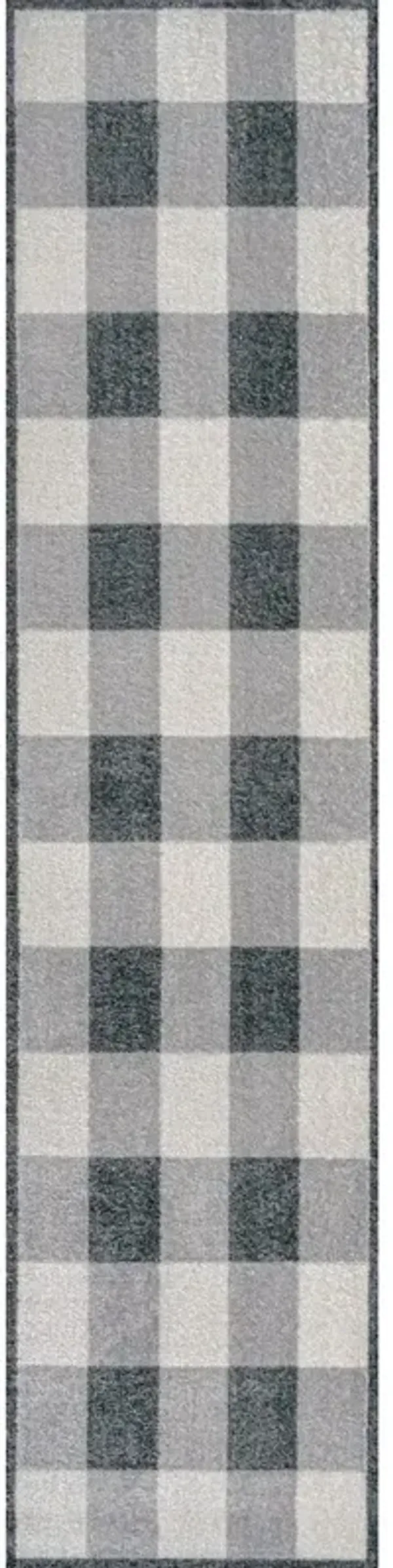 Gingham Gradient Plaid Cottage Machine-Washable Light Area Rug