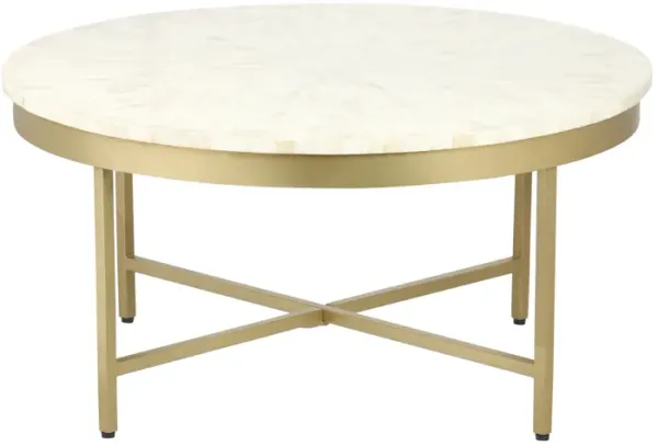 Hivvago 18 Inch Ivory And Gold Wood And Steel Round Coffee Table