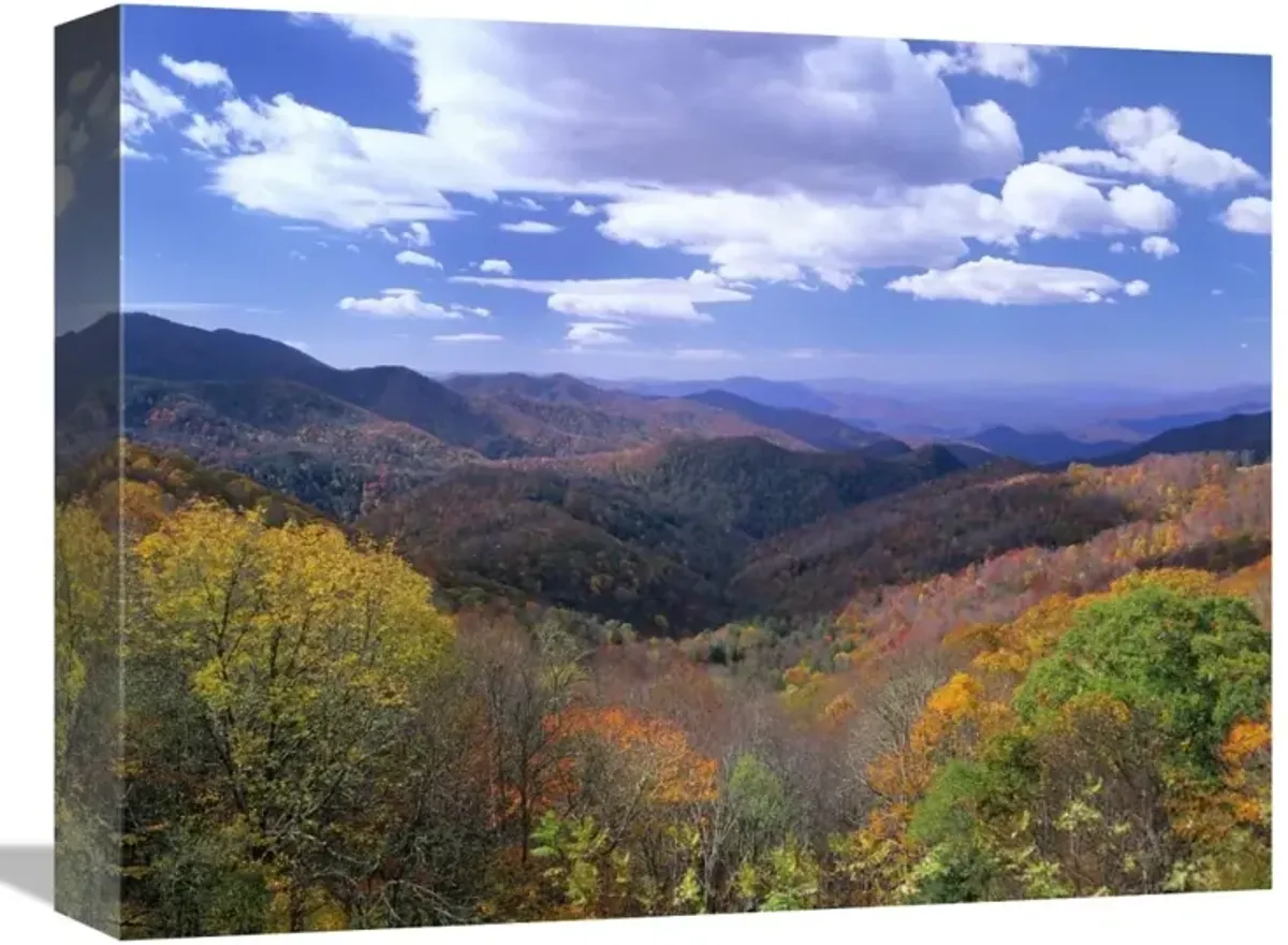 Deciduous forest in the autumn from Thunderstruck Ridge Overlook, Blue Ridge Parkway, North Carolina-Canvas Art-16x12