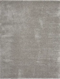 Silver color