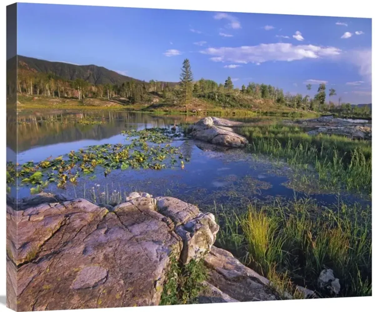 Scout Lake, San Juan Mountains, Colorado-Canvas Art-30x24.9