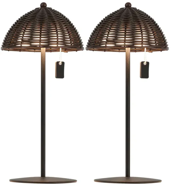 Tilly 12.75" Modern Coastal Indoor/Outdoor Wicker Shade Rechargeable/Cordless Dimmable Integrated LED Table Lamp