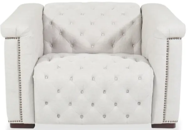 Savion Deux Power Recliner with Headrest