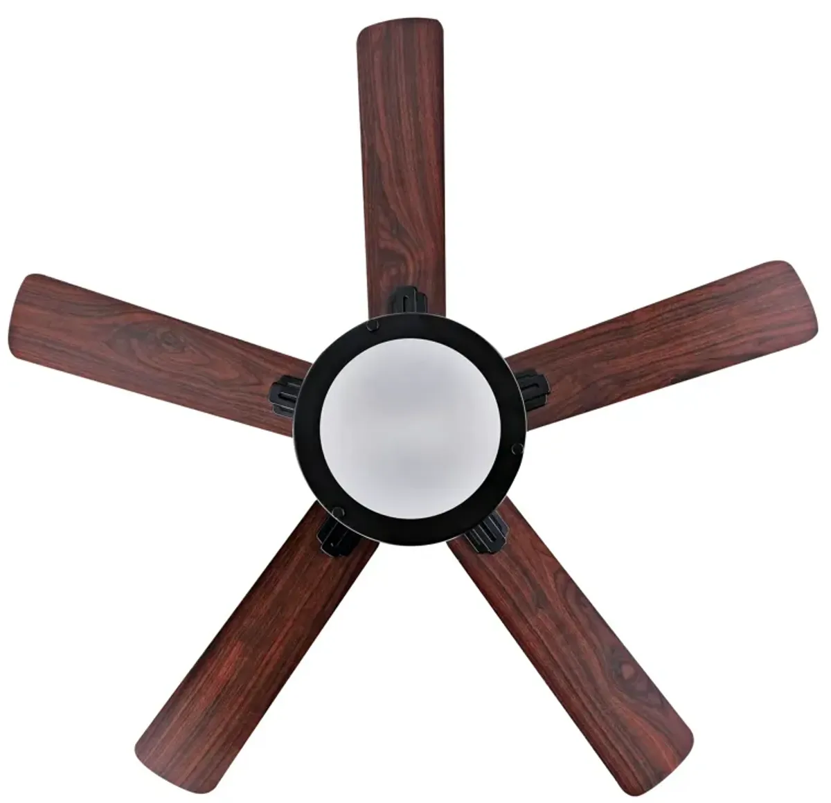 Brantley 2-Light Bohemian Farmhouse Iron LED CEILING FAN