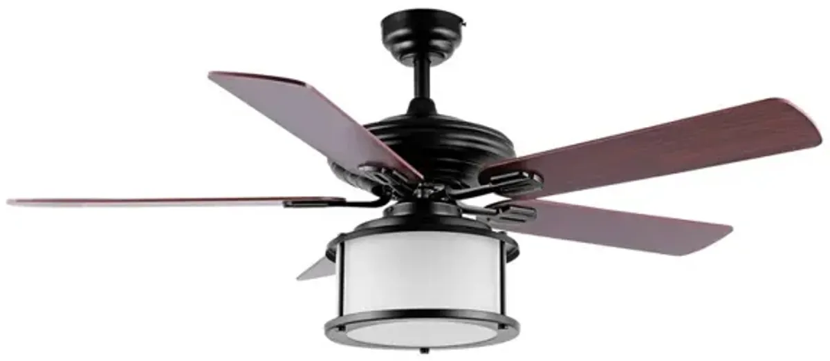 Brantley 2-Light Bohemian Farmhouse Iron LED CEILING FAN